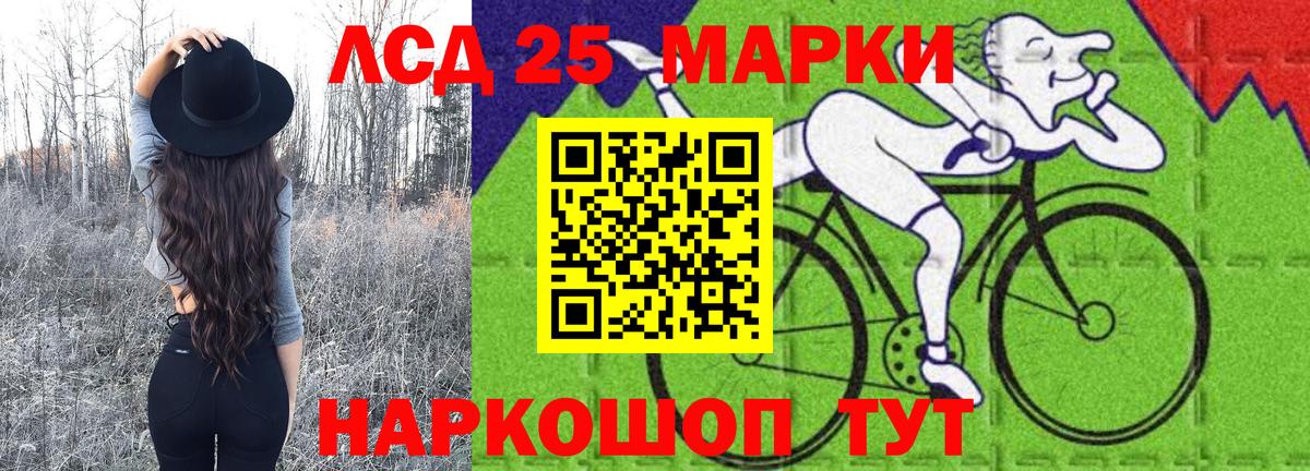 Наркотические марки 1500мкг  Наркотические марки 1500мкг  Видное  Вход с VPN 